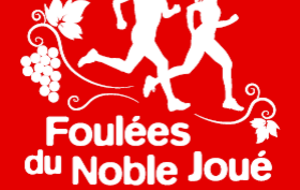 20ème  Trail du noble Joué, les résultats