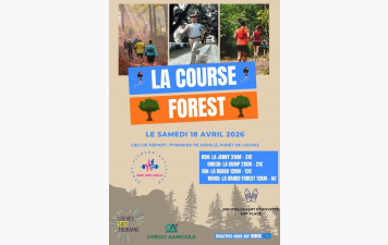 La Course Forest, les résultats